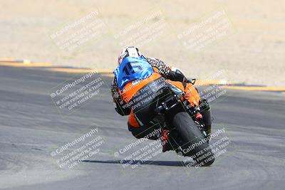 media/Mar-10-2024-SoCal Trackdays (Sun) [[6228d7c590]]/9-Turn 8 Backside (1150am)/
